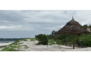 Kenya’s Kuruwitu corals are back, thanks to local conservation drive | UN News