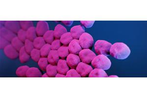 Invisible killer: What is antimicrobial resistance? | UN News