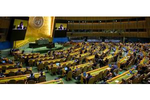 UN General Assembly boosts global fight against illegal trade in cultural artifacts | UN News