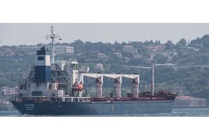 More lifesaving grain shipments authorized to leave Ukraine | UN News