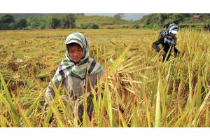 Close gaps to drive progress for next generations, youth delegates tell LDC5 | UN News