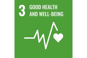 Buckling up to save lives: UN celebrates five decades of seat belt laws | UN News