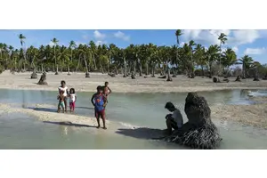 Landmark climate change hearings represent largest ever case before UN world court | UN News