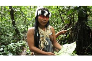 Indigenous Day celebrates ‘guardians of the environment’ | UN News