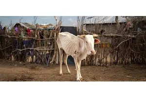 UN officials urge swift action to tackle El Niño