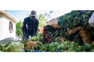 LIVE: Pledging conference for Haiti reconstruction | UN News