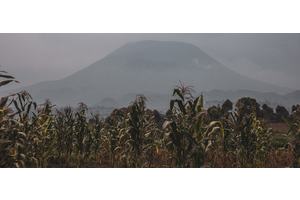 UN warns copper shortage risks slowing global energy and technology shift | UN News