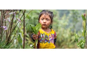 ‘A compass towards progress’ – but key development goals remain way off track | UN News