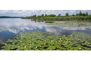 Eleven new biosphere reserves added to global list | UN News