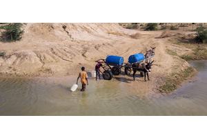 Adapt or perish: UN calls for urgent action at COP29 climate summit | UN News