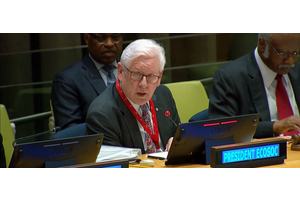 Joint UN meeting tackles small arms control to foster sustainable development | UN News
