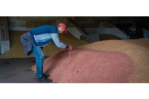 UN chief welcomes renewal of Black Sea Grain Initiative | UN News