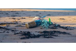 UN Ocean Conference ends with call for greater global commitment to address dire state of the ocean | UN News