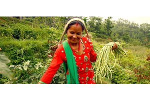 Development finance institutions must include in investments, ‘right to remedy’ | UN News