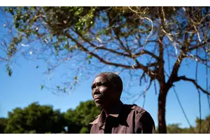 From fighting to farming: Supporting peacebuilding in Mozambique | UN News