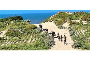 Holding the frontline against desertification | UN News