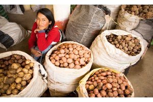 World food import bill to reach record high in 2021  | UN News