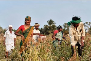 Indigenous Peoples Day highlights AI’s risks and opportunities | UN News