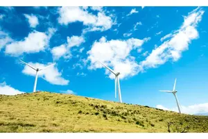 US Supreme Court ruling on environmental protection ‘a setback in our fight against climate change’ | UN News