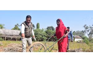 Millet seeds, a powerful weapon against hunger | UN News