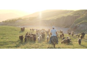 Ukraine war drives international food prices to ‘new all