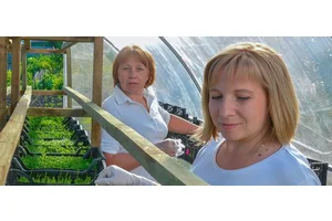 Women building a sustainable future: green business begins to sprout in Ukraine | UN News