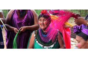 Developing countries face ‘impossible trade