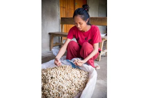 Hungry for data: Tackling food insecurity in rural Indonesia | UN News