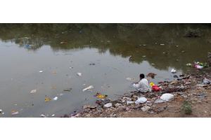 Crimes against nature: UN agency puts environmental legislation under scrutiny | UN News