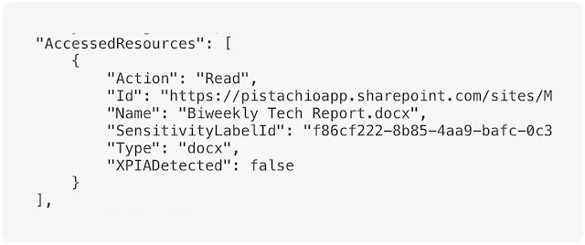 Copilot output with Audit Log