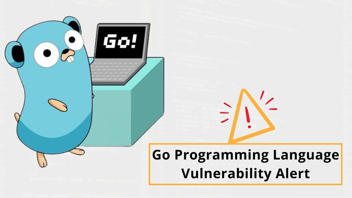 Golang Vulnerability Alert: Remote Code Execution & Infinite Loop DNS Lookup Golang Vulnerability Alert: Remote Code Execution & Infinite Loop DNS Lookup