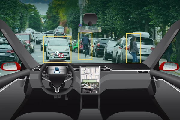What the car sees