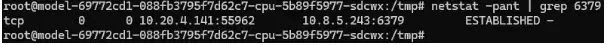 Finding pre-established TCP connection via `netstat`.