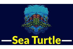 Sea Turtle APT Group Exploiting Known Vulnerabilities to Attack IT-service Providers