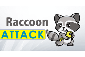 New Raccoon Attack Allow Hackers to Break SSL/TLS Encryption