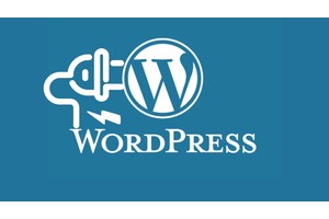 WP-Members Plugin Expose WordPress Sites To Injection Attacks