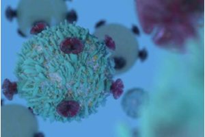 Membrane charge sensor to watch the regulation of our T cells