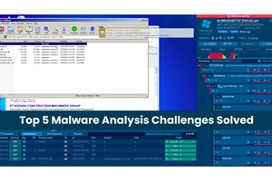 5 Malware Analysis Challenges Solved by an Interactive Sandbox
