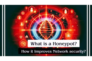 What is a Honeypot? How does it Improve Network security?