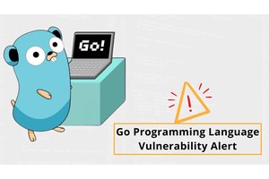 Golang Vulnerability Alert: Remote Code Execution & Infinite Loop DNS Lookup