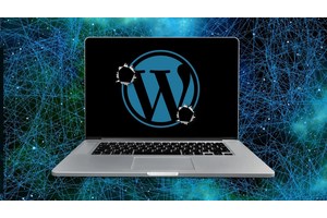 WordPress Theme & Plugin Vulnerabilities Exposes Thousands of Sites