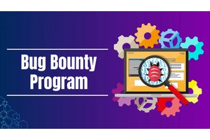 What is Bug Bounty Program: Why Organization Needs Them?