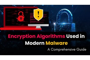 What are the Encryption Algorithms Used in Modern Malware? – A Comprehensive Guide