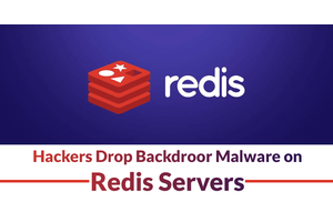 Hackers Exploit Bug in Redis Servers To Drop New Backdoor Malware “Redigo”