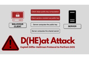 D(HE)at Attack
