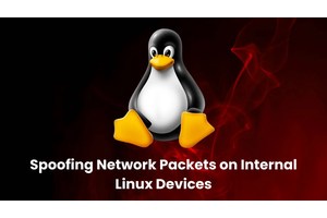 Multihomed Linux Devices Flaw Allows Spoof of Internal Communication