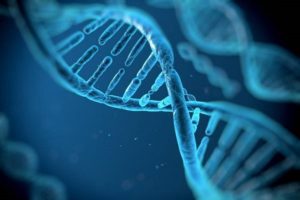 Scientists turn human cells into biocomputers