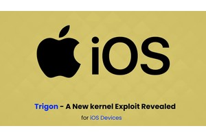 Trigon