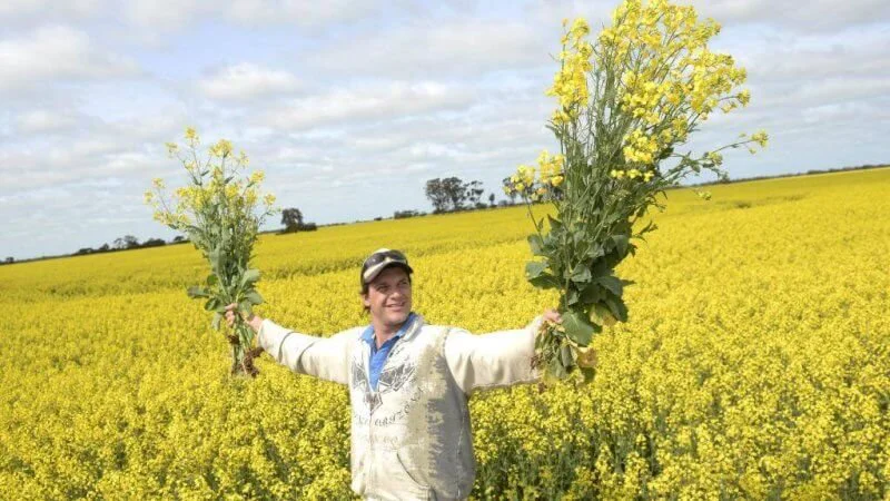 Credit: Greg Scullin/Miles Research