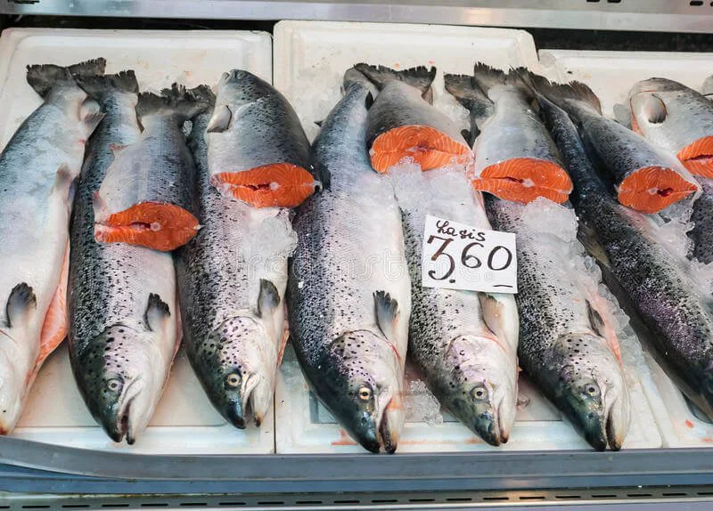 atlantic salmon market dispaly fresh display label contains no trademarks atlantic salmon market dispaly fresh display label contains no trademarks